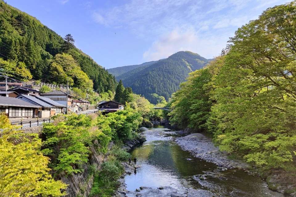 天川村ホイスコーレの画像