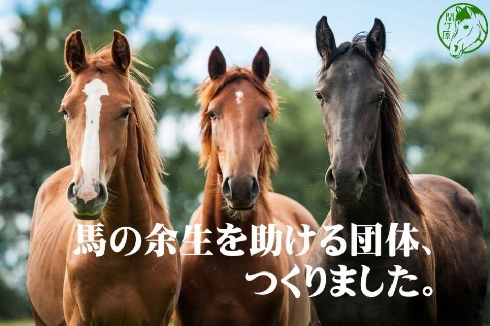 関ケ原ホースエイド Image