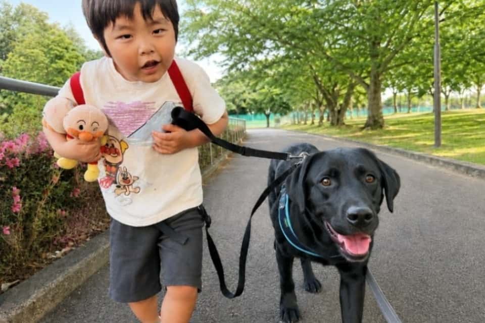日本オーティズム補助犬協会（通称：JASDA）の画像