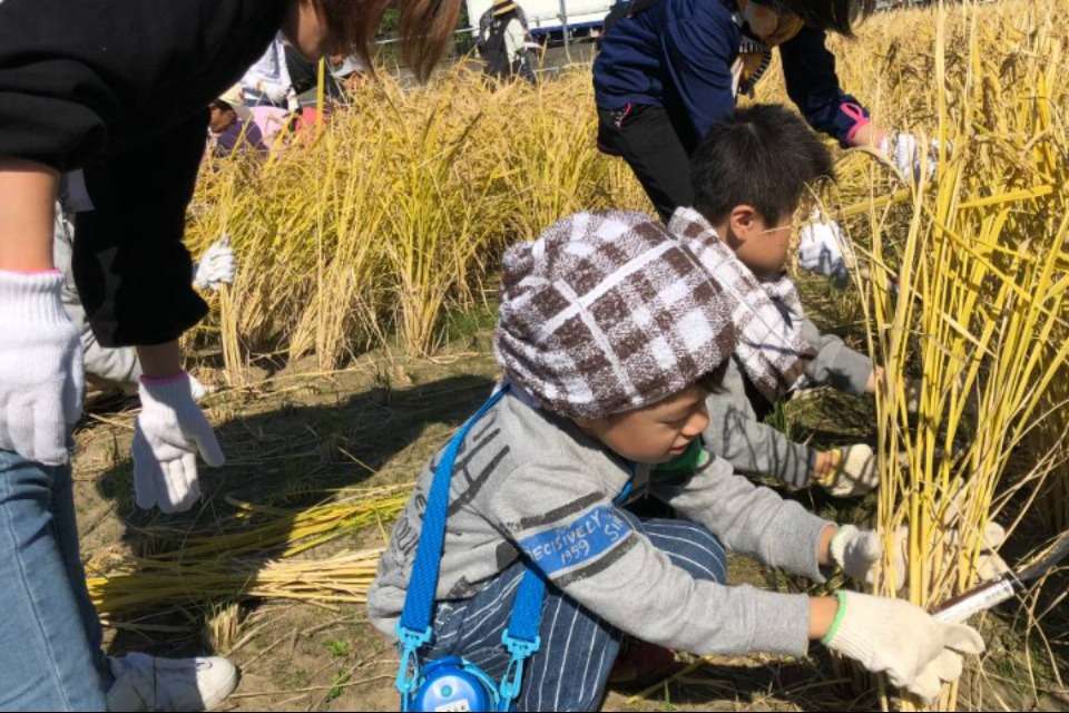 食育推進ネットワーク福岡の画像