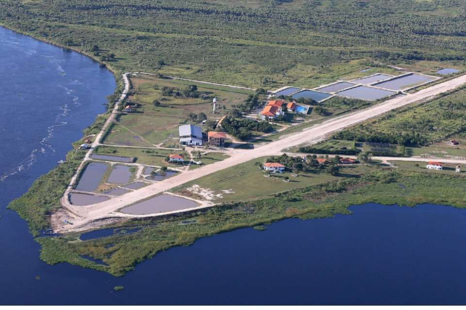 南北米福地開発協会  Association for Sustainable Development in North and South Americasの画像