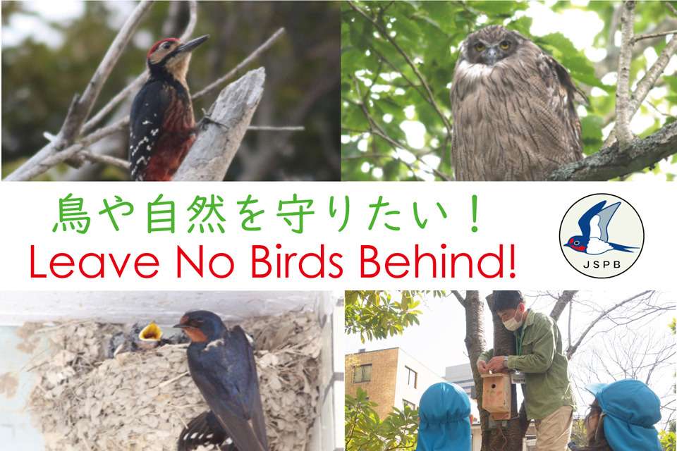 日本鳥類保護連盟の画像