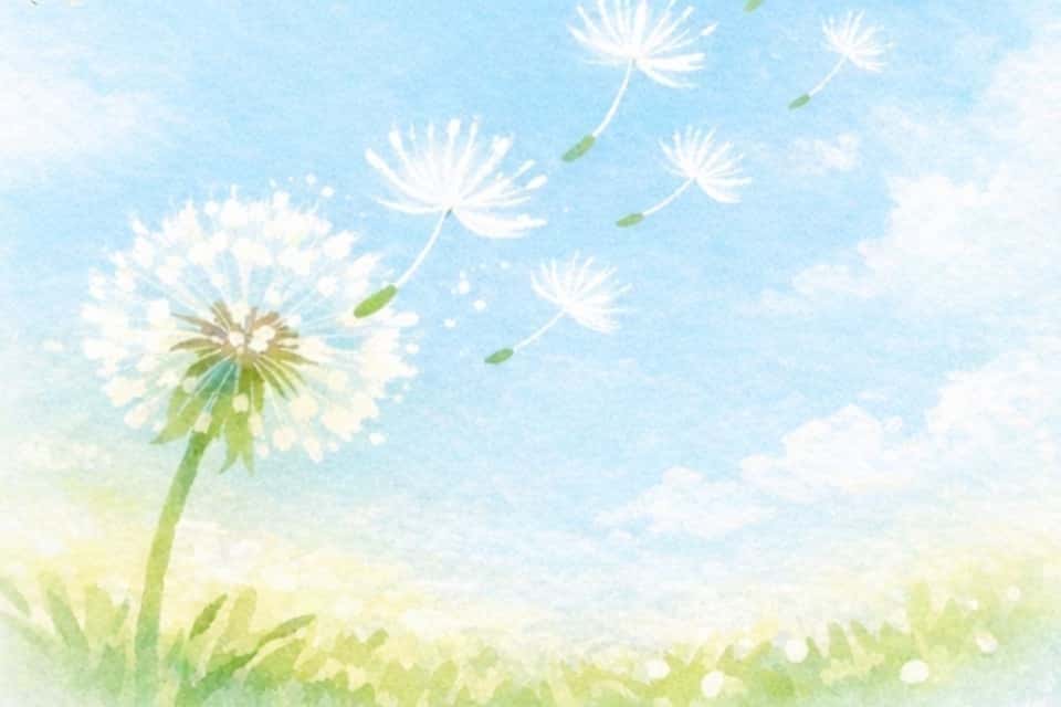 わたげミーティングの画像