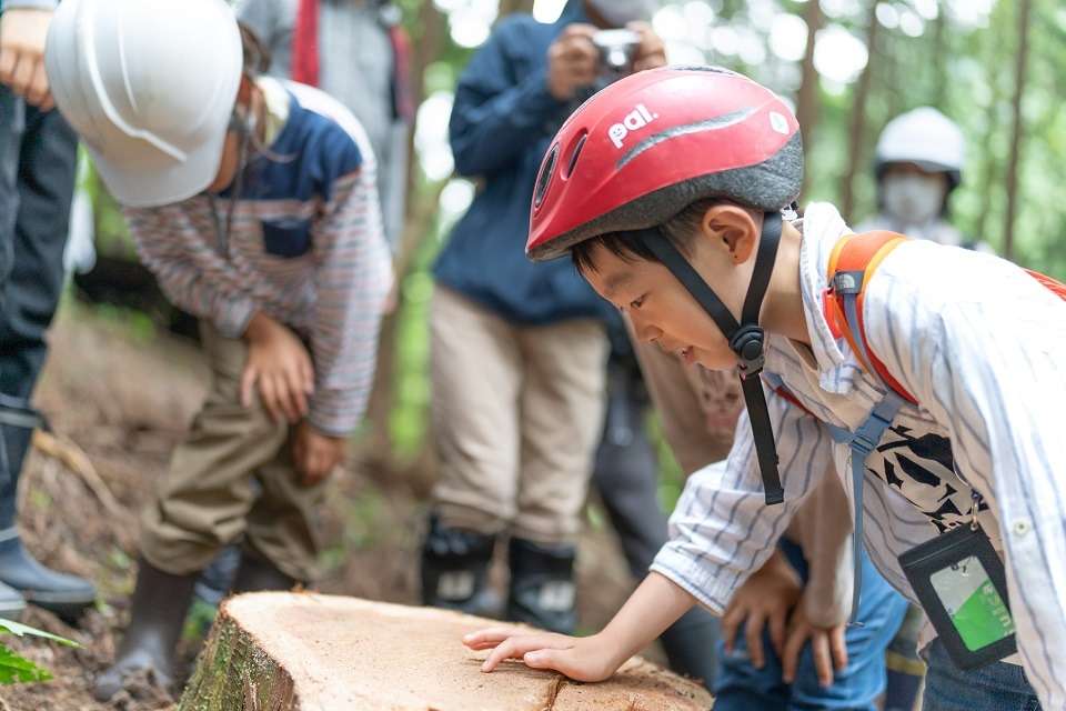 木和堂の画像