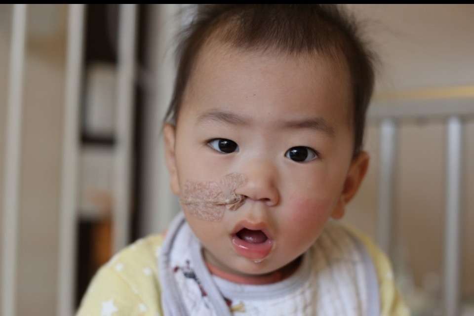 みかんぐみの画像