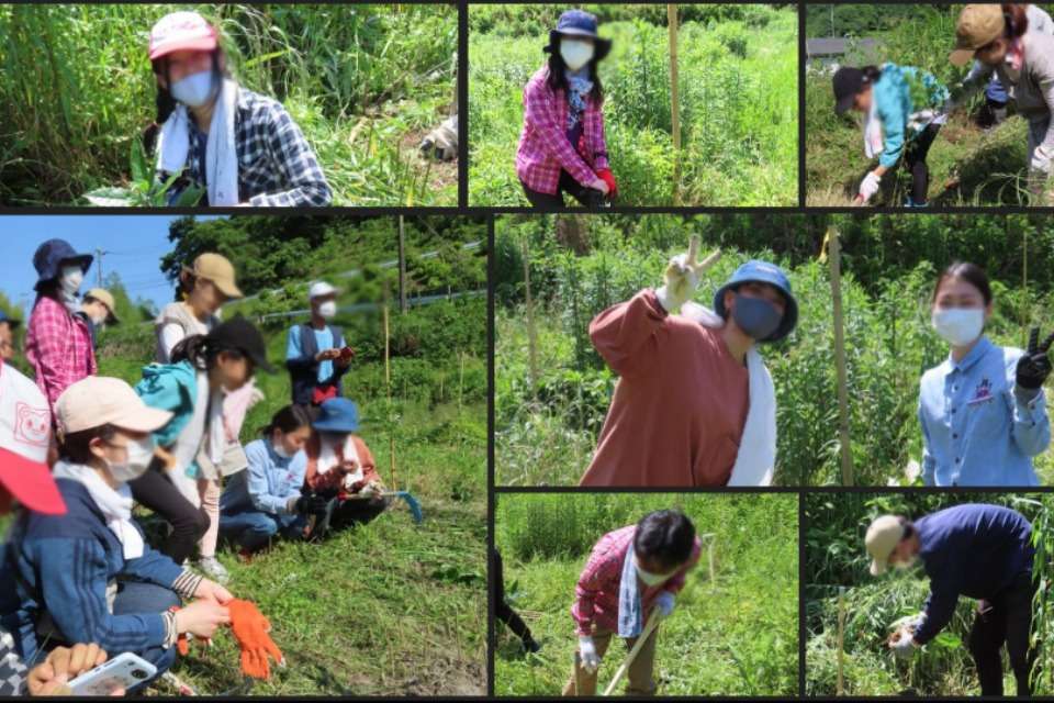Fukuokaちきゅうloversの画像