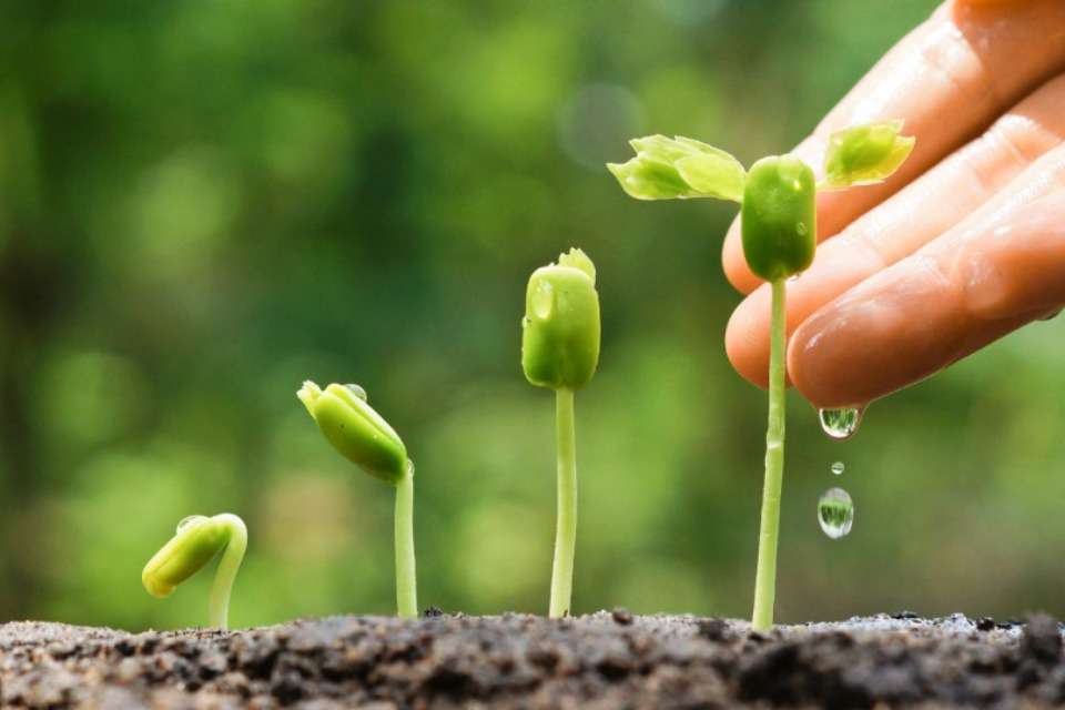 特定非営利活動法人Darshanの画像