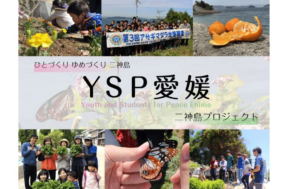 YSP愛媛の画像