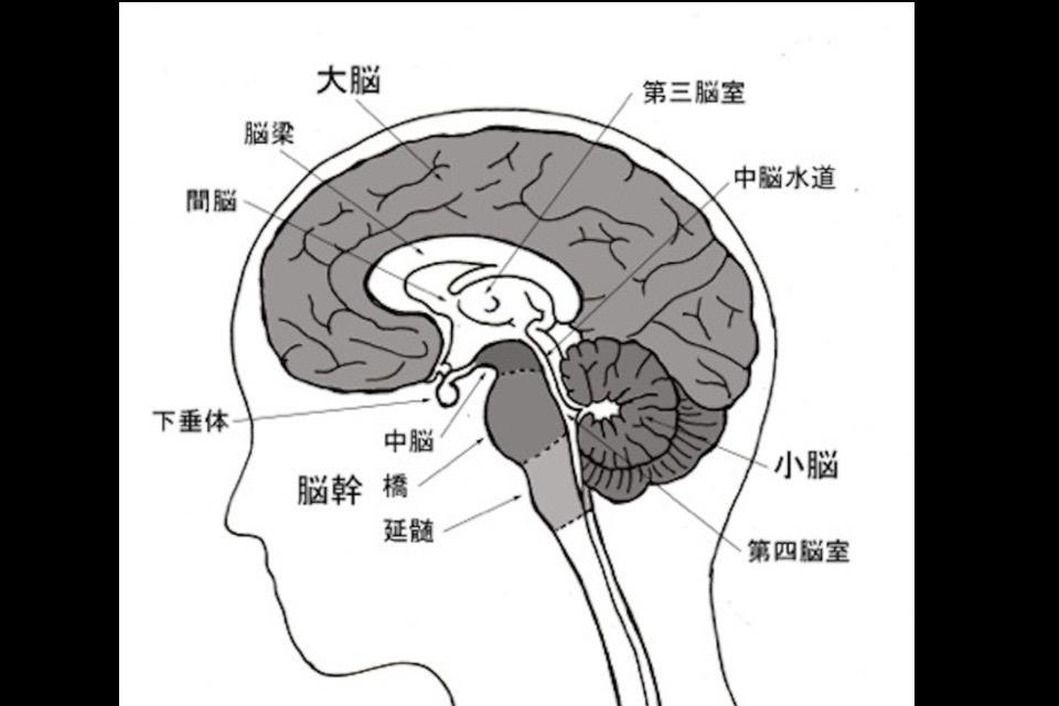 私たちの取り組む課題の画像