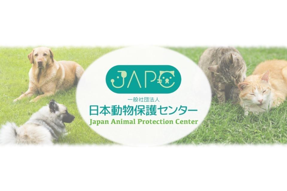 一般社団法人日本動物保護センターのメインビジュアル