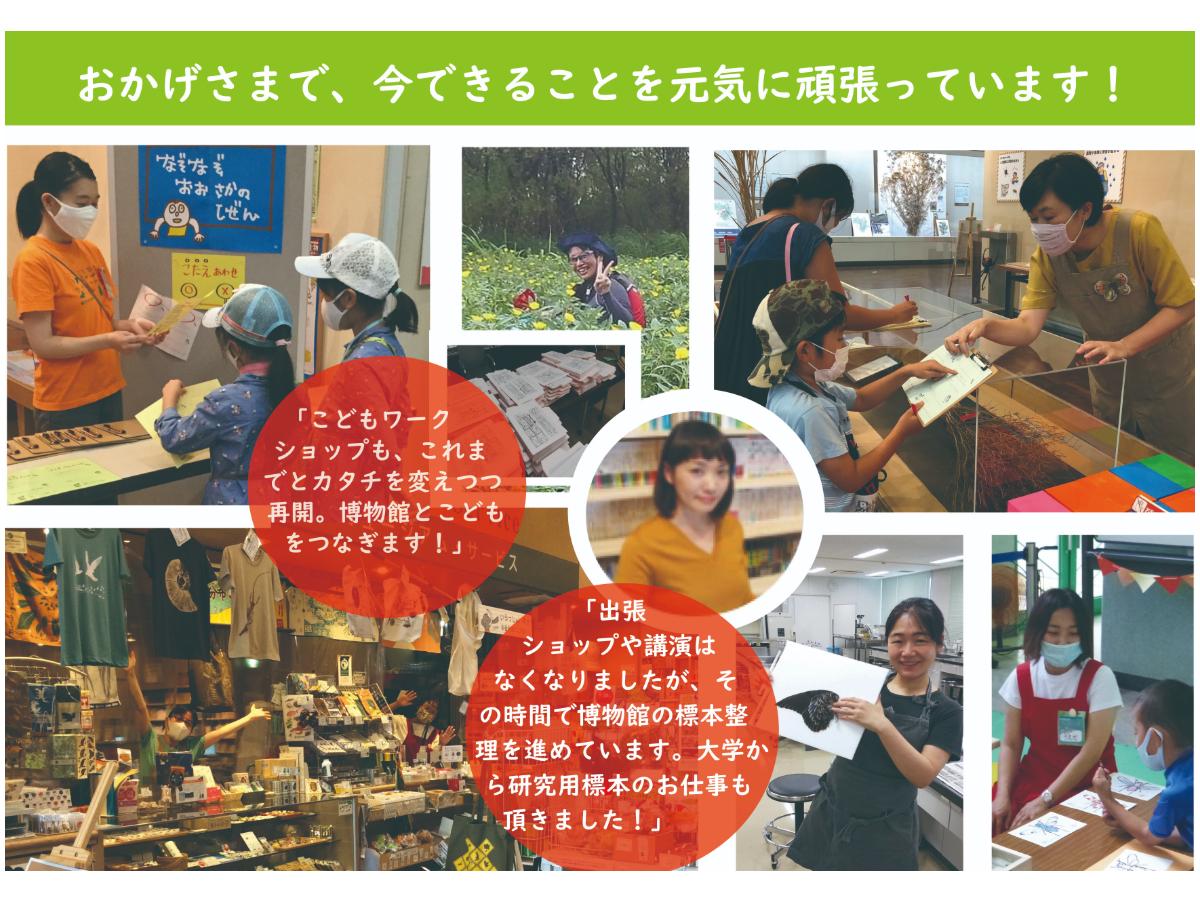 「はくラボ」近況のご報告のメインビジュアル
