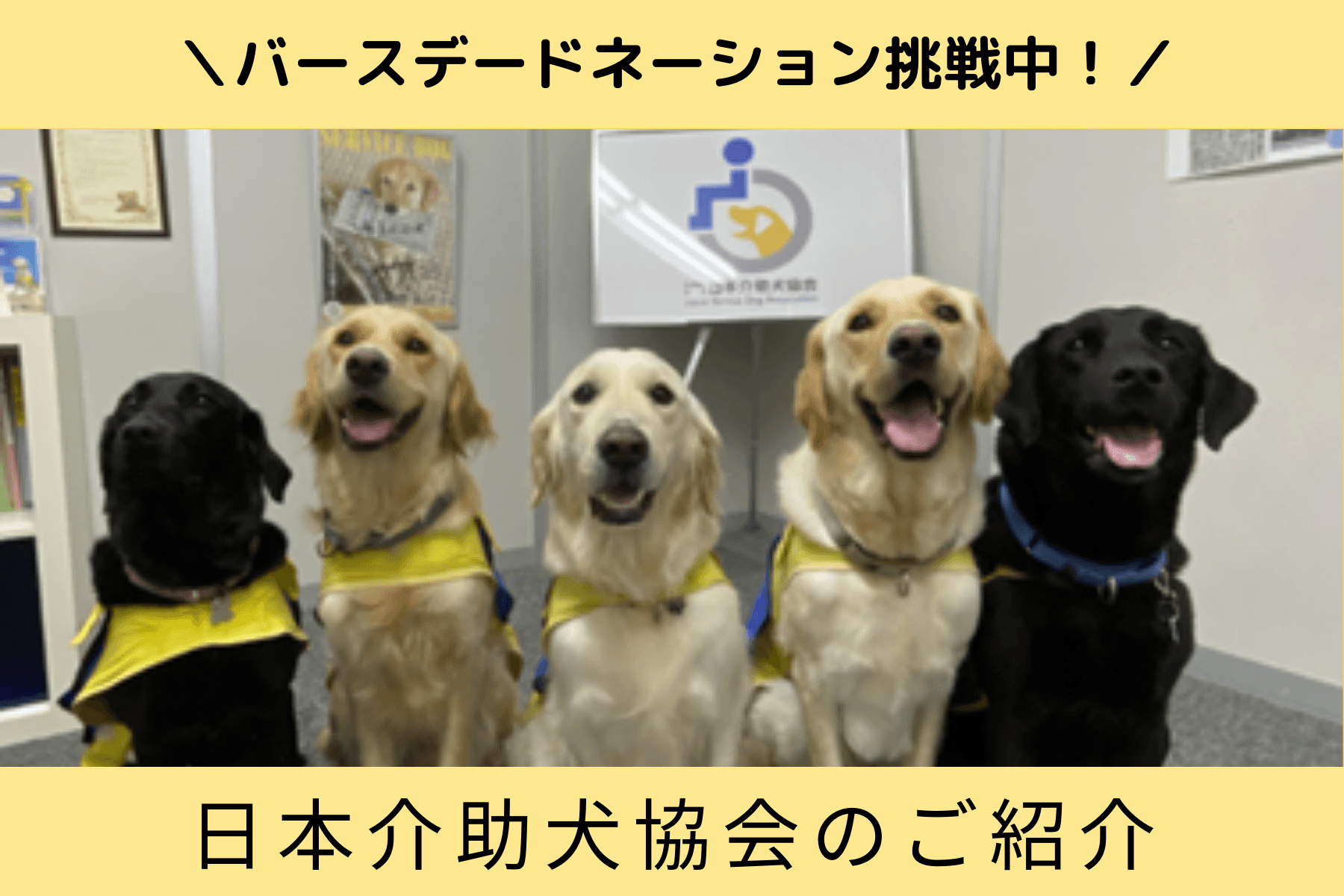 日本介助犬協会（JSDA）さんのご紹介のメインビジュアル