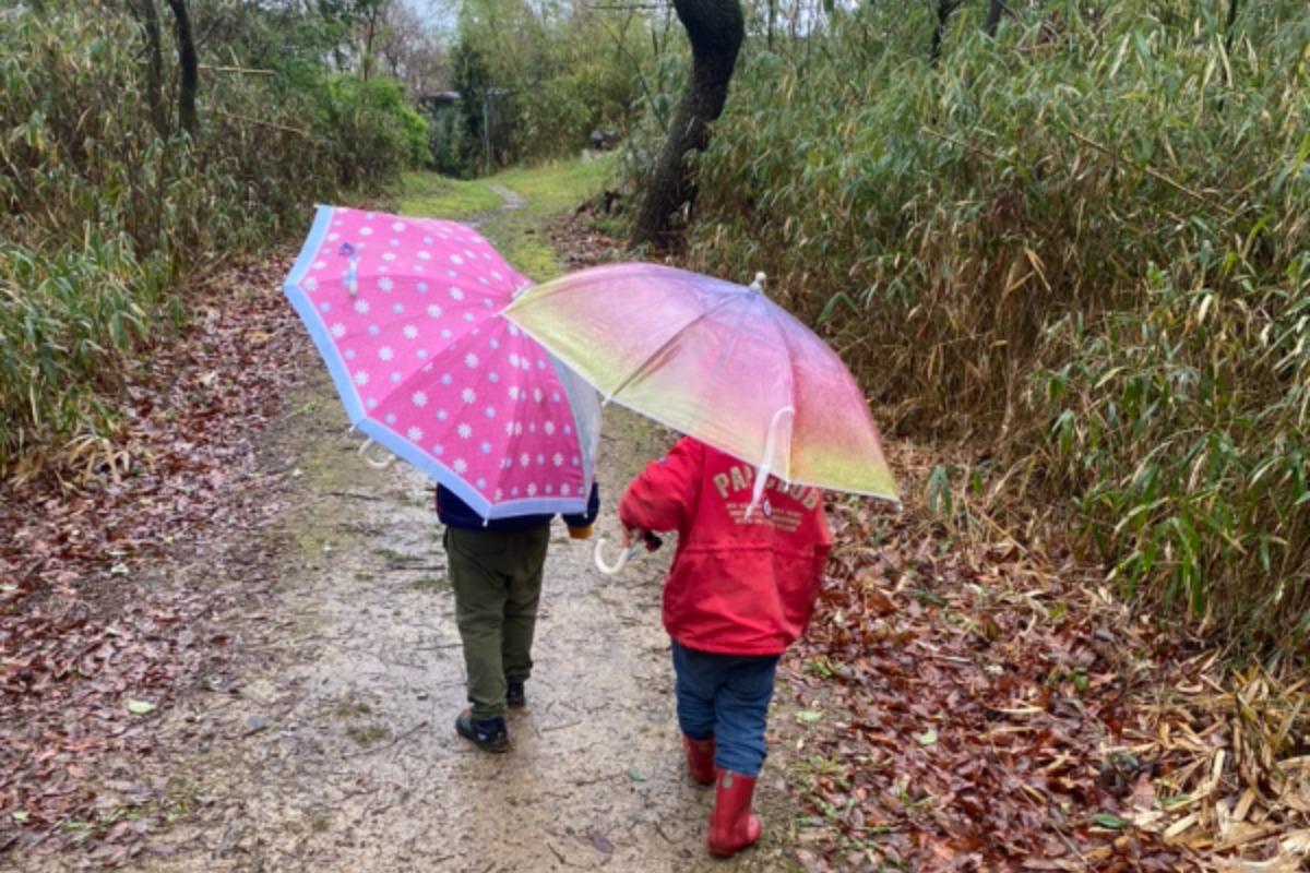 雨の日だって森の中が子供たちのフィールドのメインビジュアル