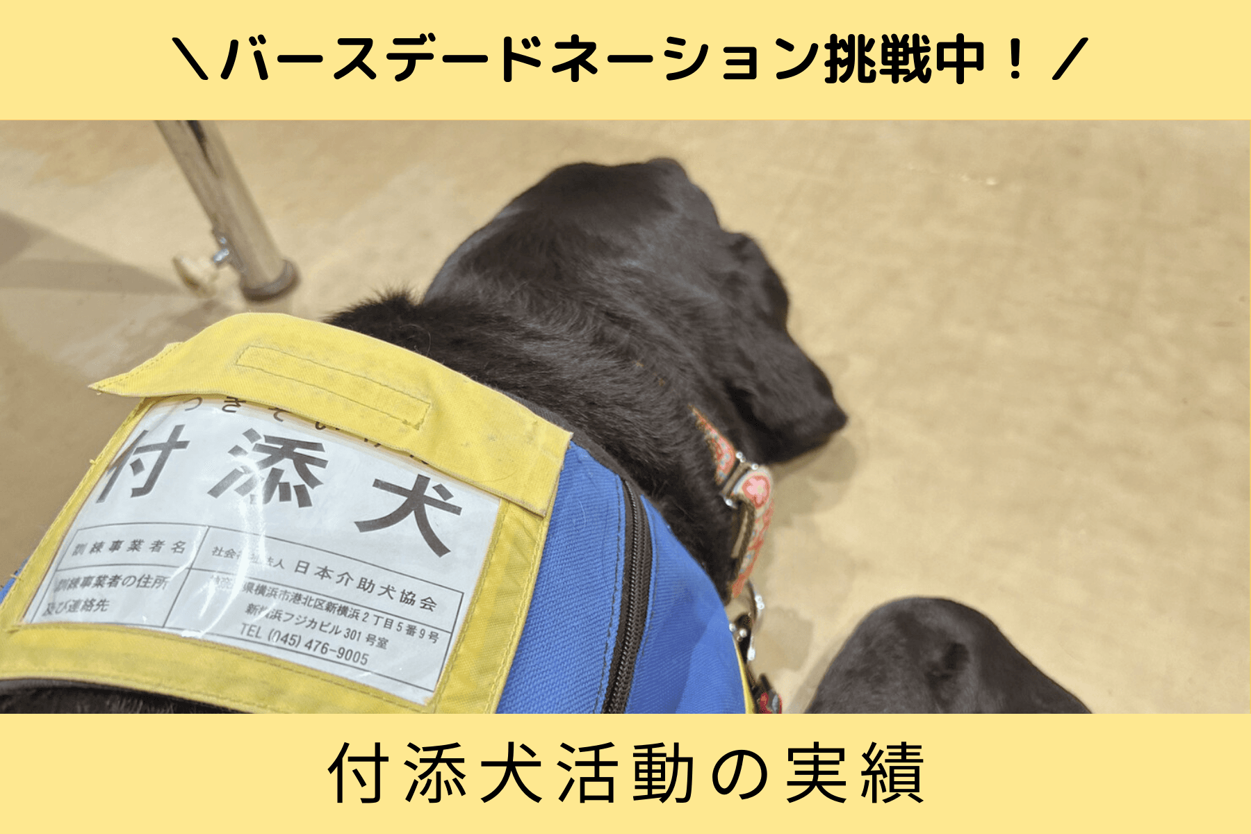 お子さんの状況やニーズに合わせての活動！付添犬活動の実績のメインビジュアル