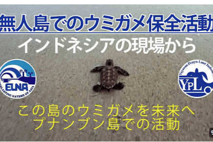 活動地プナンブン島の紹介動画を作成しました！【Youtube更新！】のメインビジュアル