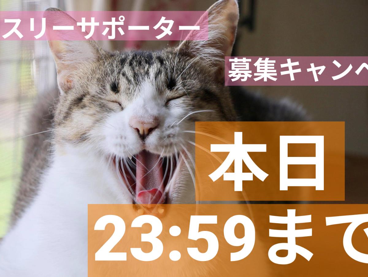 終了日の思い/アイ君トライアルに行くのメインビジュアル