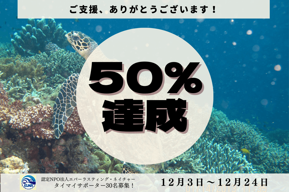 【拡散にご協力のお願い】新規タイマイサポーター募集キャンペーン残り２日！のメインビジュアル