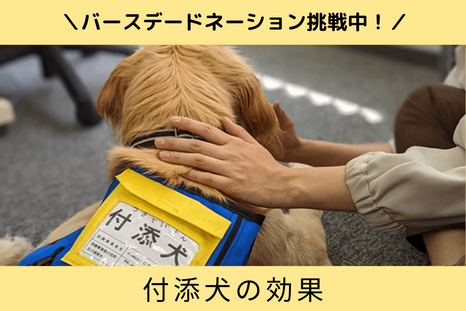 知っていますか？付添犬の効果！のメインビジュアル