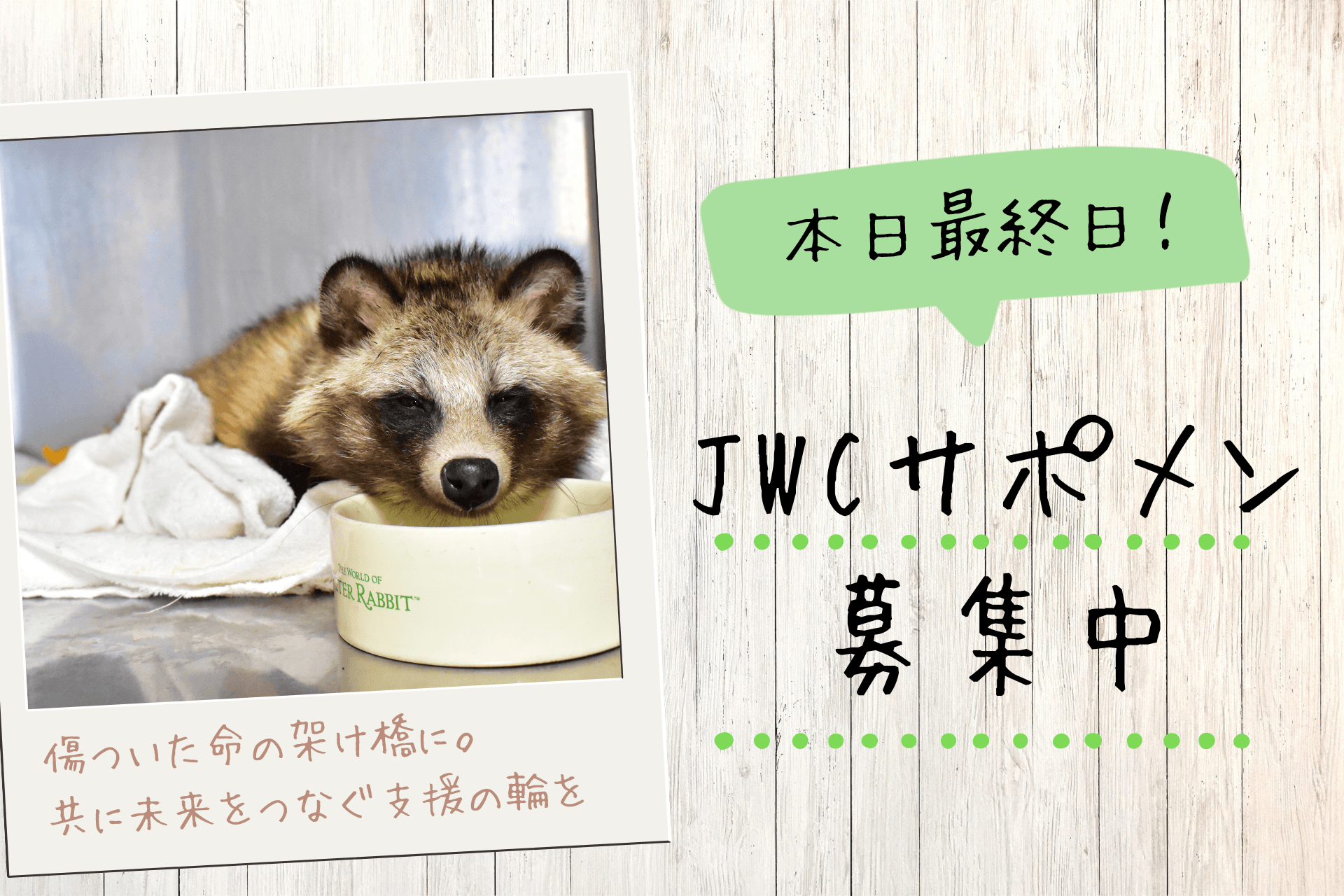 【本日最終日】JWCサポメン23:59まで募集中！！のメインビジュアル