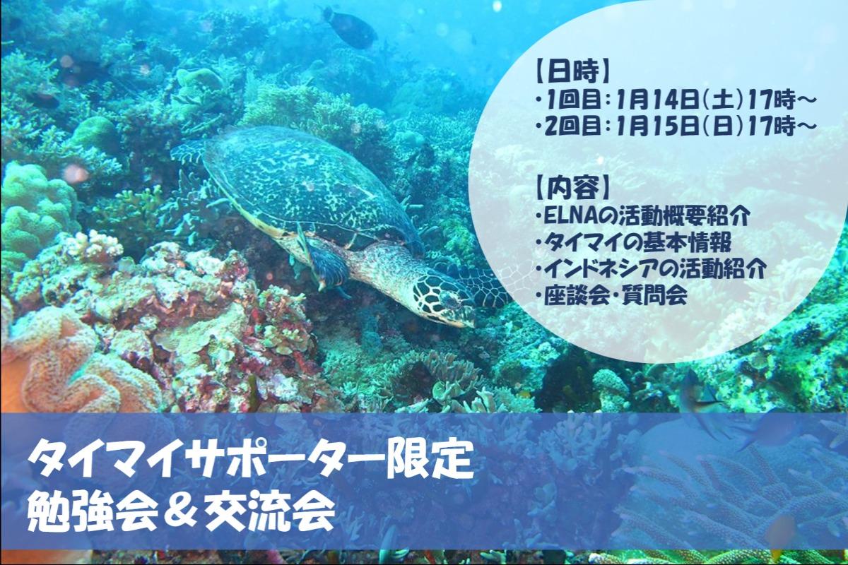 タイマイ勉強会＆交流会開催【サポーター特典】のメインビジュアル