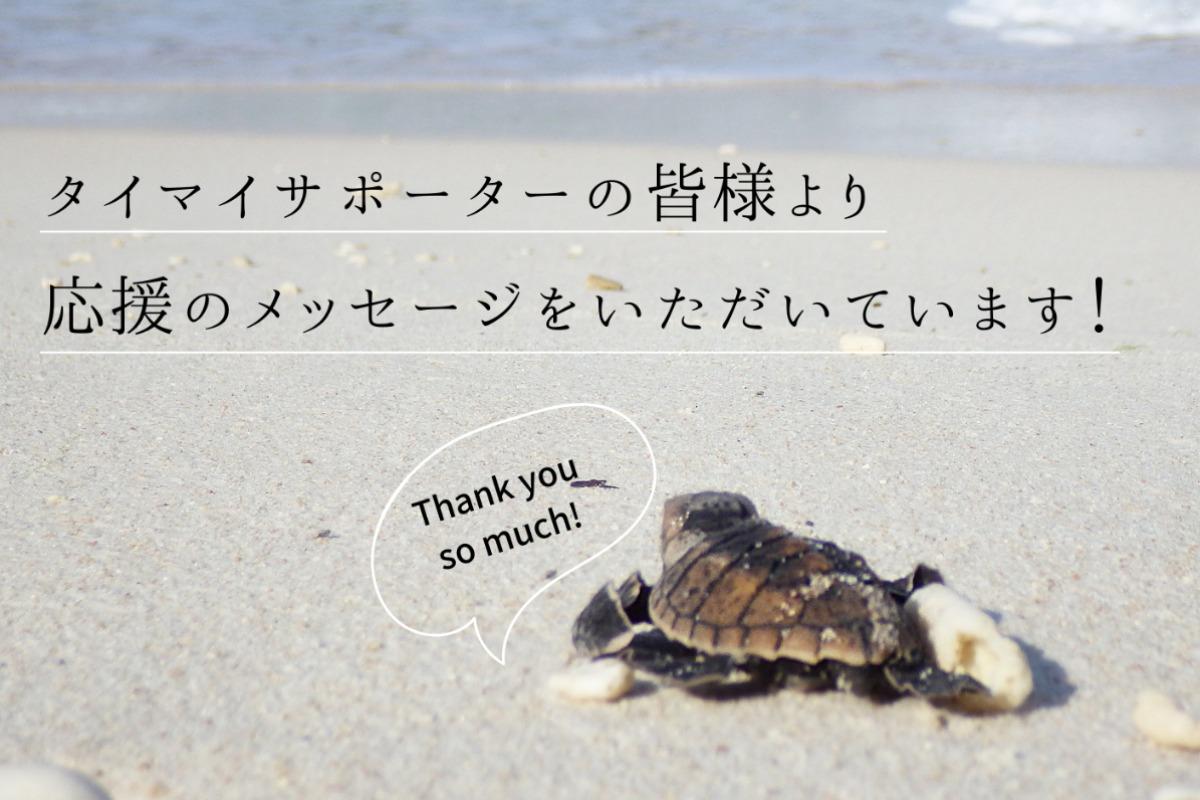 【あと6日！】保全活動へのご理解とご協力に感謝いたします。タイマイサポーターの皆様からの応援メッセージまとめのメインビジュアル