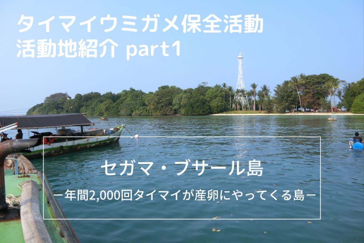 タイマイ活動地紹介～その①～のメインビジュアル