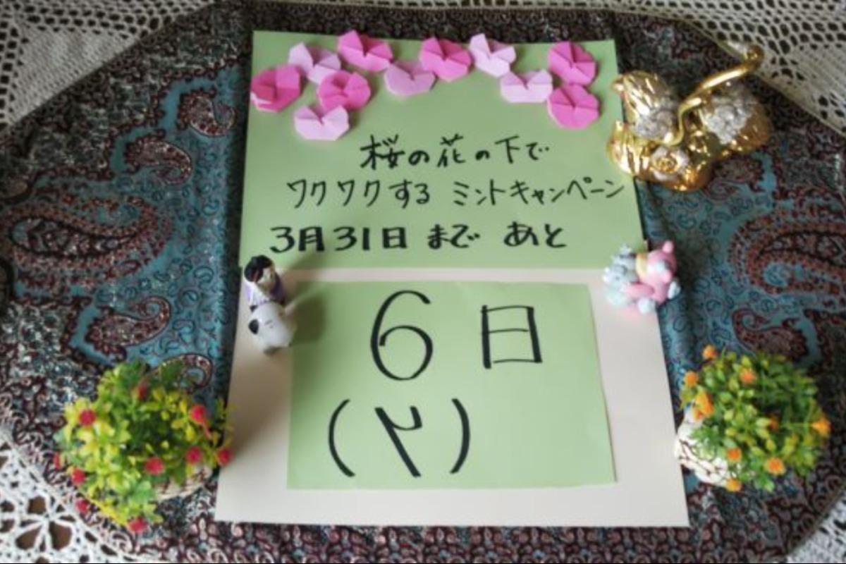 桜の花の下でワクワクする、ミントキャンペーンは3月31日で終了、あと6日間よろしくお願いいたします。のメインビジュアル