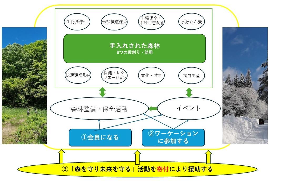 「森を守り、未来を守る！」活動とはのメインビジュアル