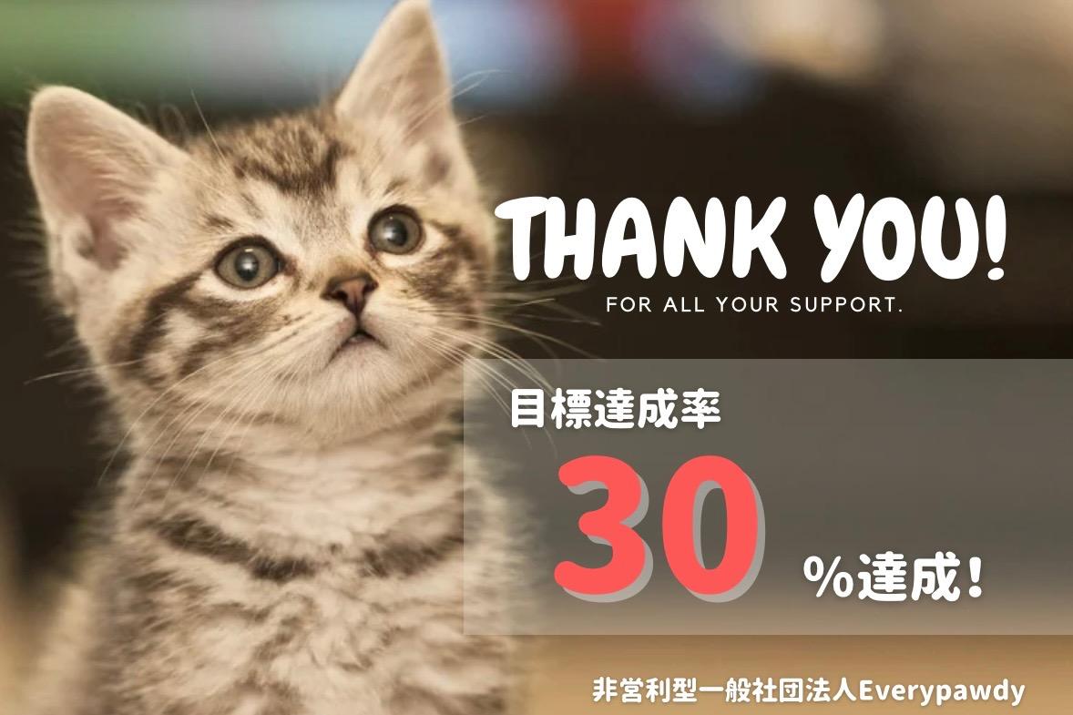 目標の30%に到達致しました！のメインビジュアル