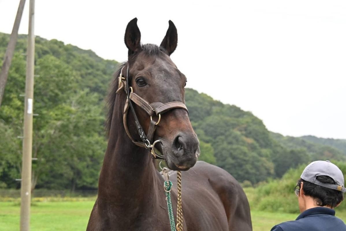 【新FHのお知らせ】ストロングリターンが「ナイスネイチャ・メモリアルドネーション2026」受け入れ第3号馬／100頭目のFHにのメインビジュアル