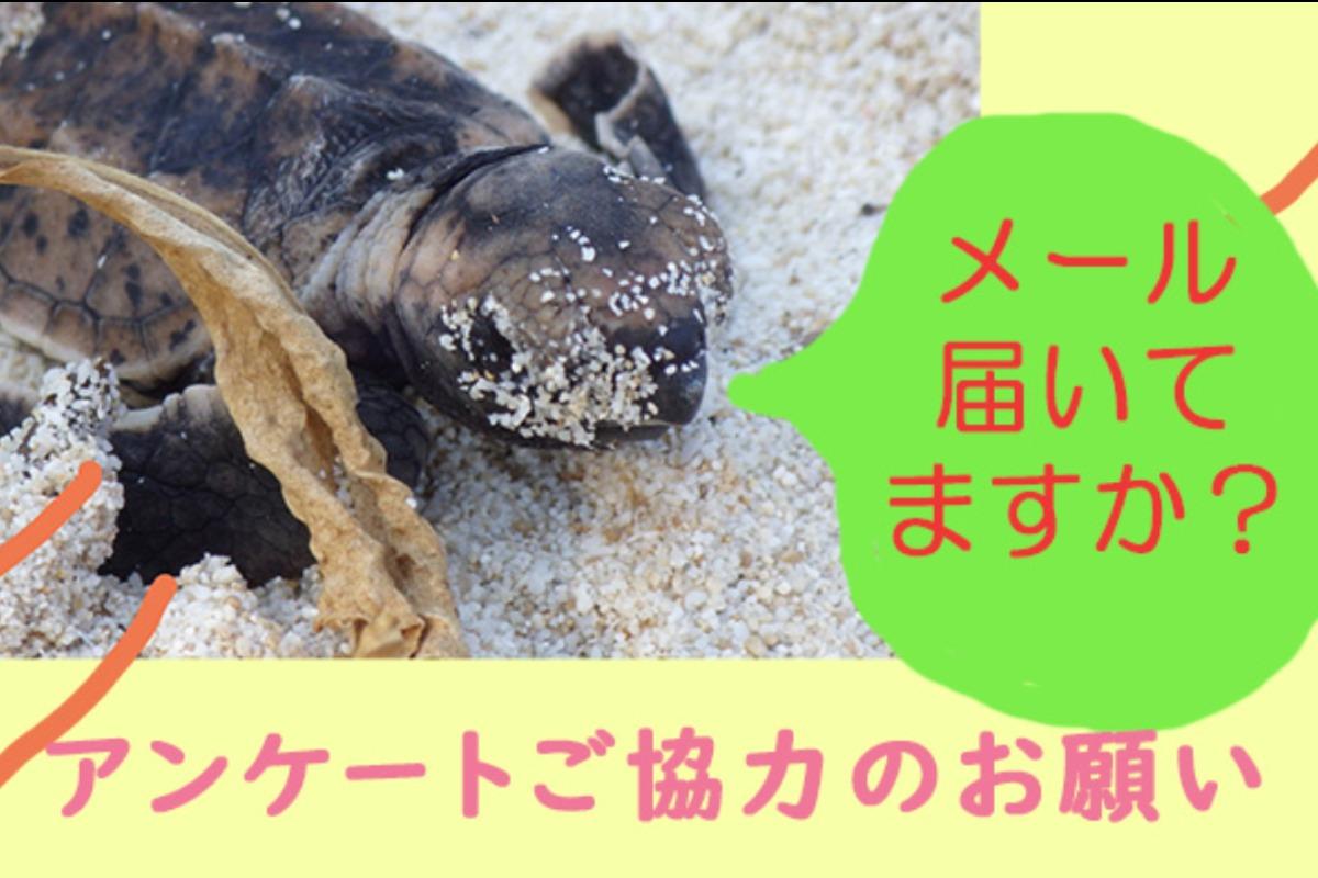 メールの確認をお願いしますのメインビジュアル