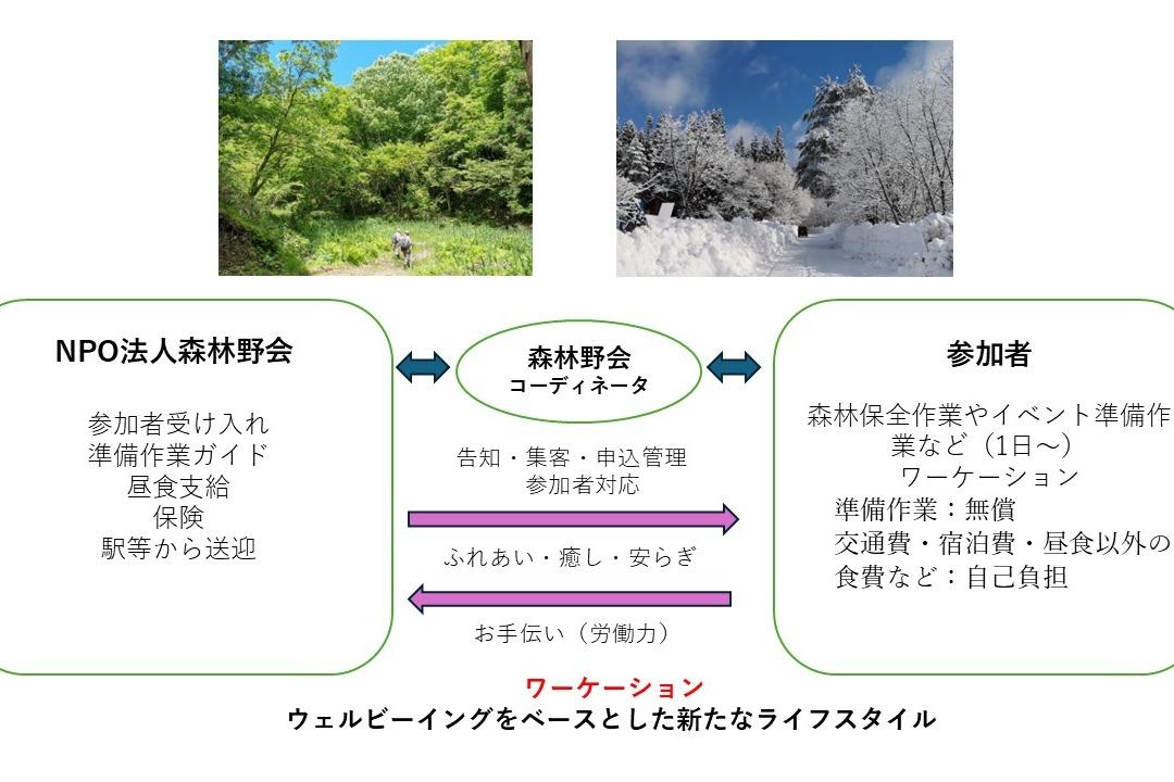 NPO法人森林野会のワーケーションのメインビジュアル