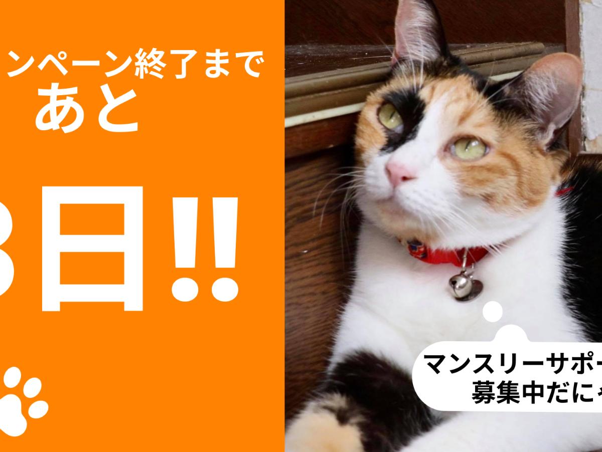 達成3日前の思いのメインビジュアル