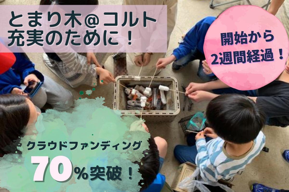 【経過報告】開始から2週間！のメインビジュアル