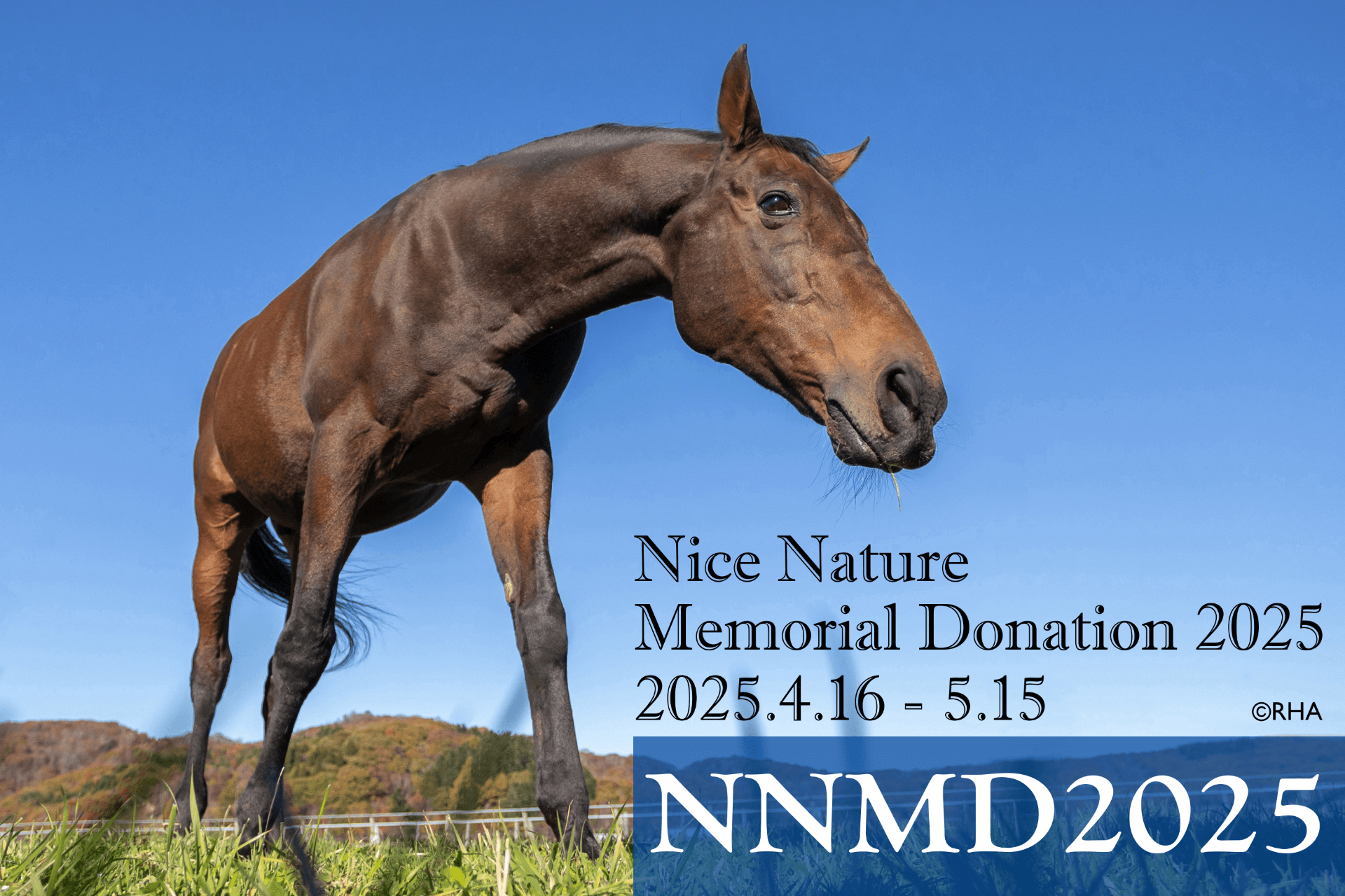「NNMD 2025」ストレッチゴールを設定しますのメインビジュアル