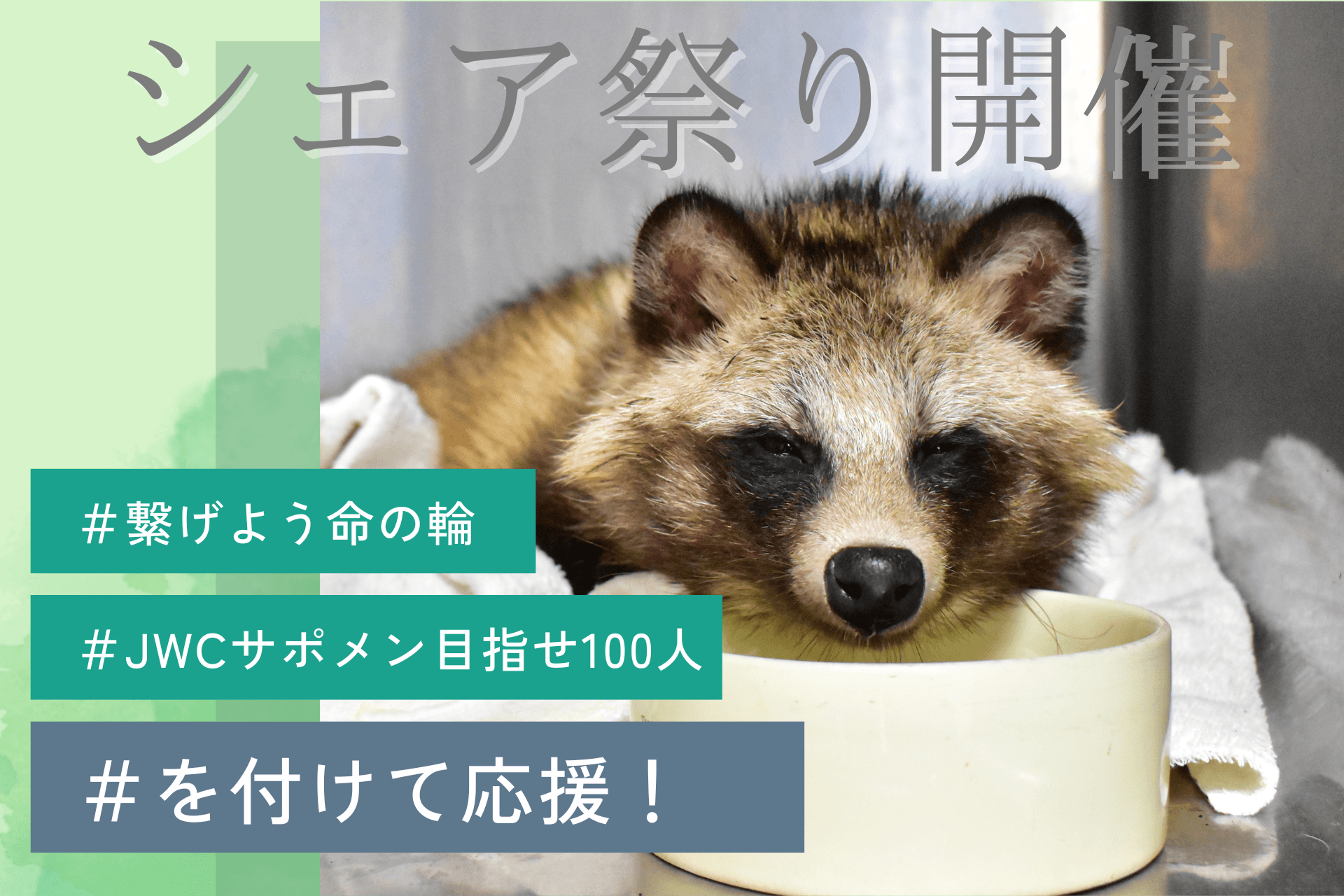【シェア祭り】2月24日に開催！！ JWCサポメン100人を目指して！！のメインビジュアル