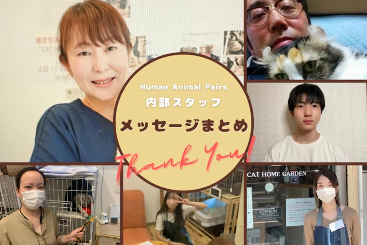 Human Animal Pairs 内部スタッフからのメッセージまとめのメインビジュアル