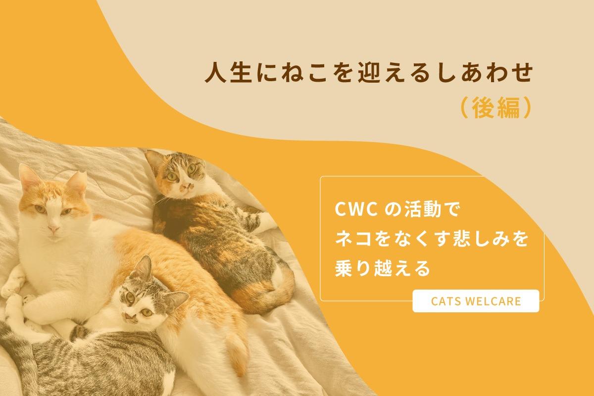 人生にねこを迎えるしあわせ（後編） 〜CWCの活動でネコをなくす悲しみを乗り越える〜のメインビジュアル