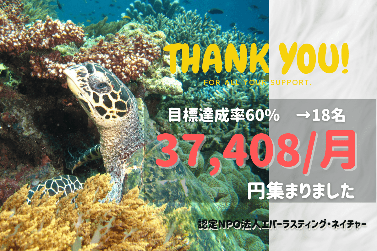 タイマイサポーター募集キャンペーン結果のご報告――18名のご支援に心より感謝いたしますのメインビジュアル