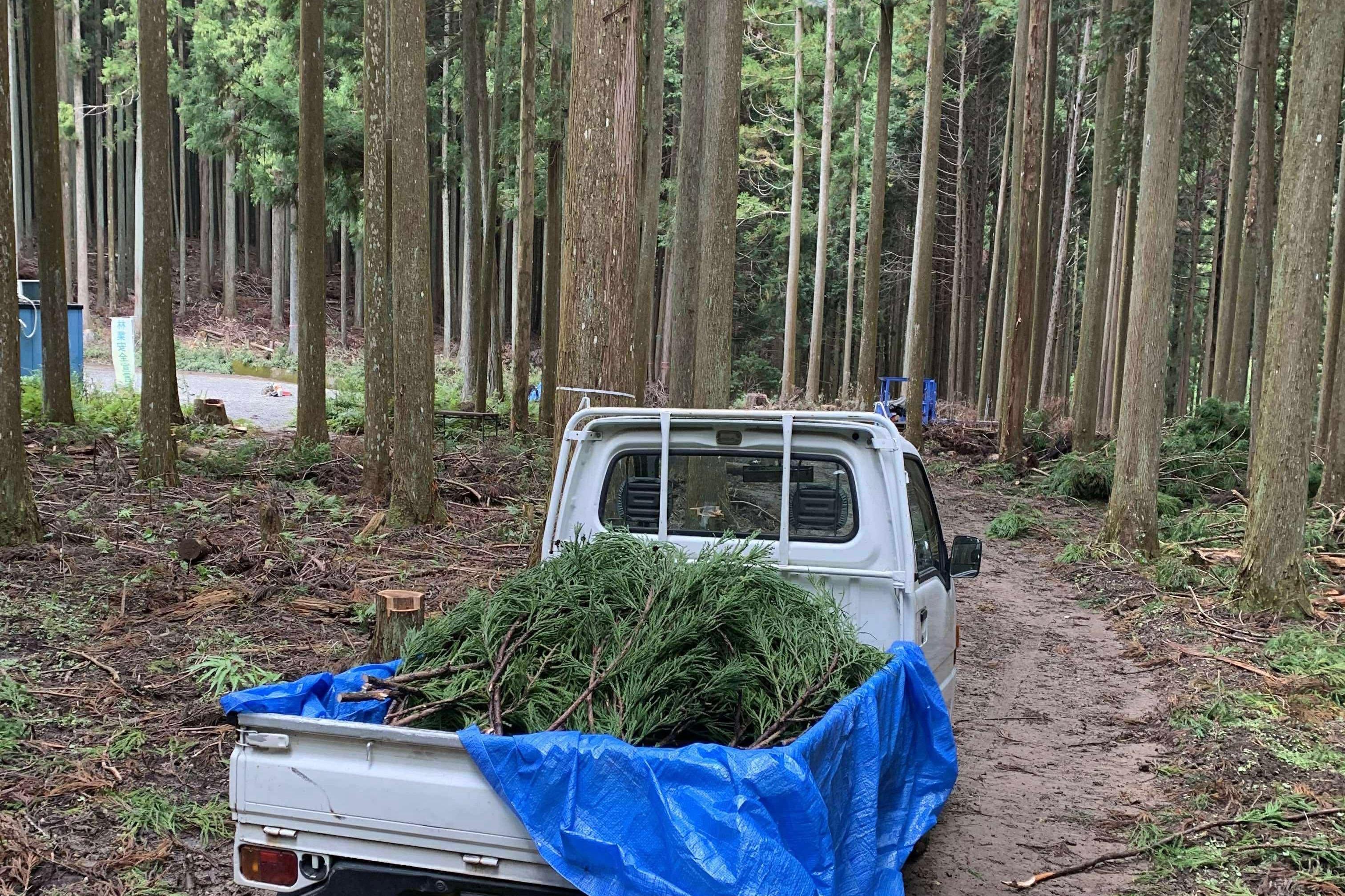 伐採現場から、こんにちは。のメインビジュアル