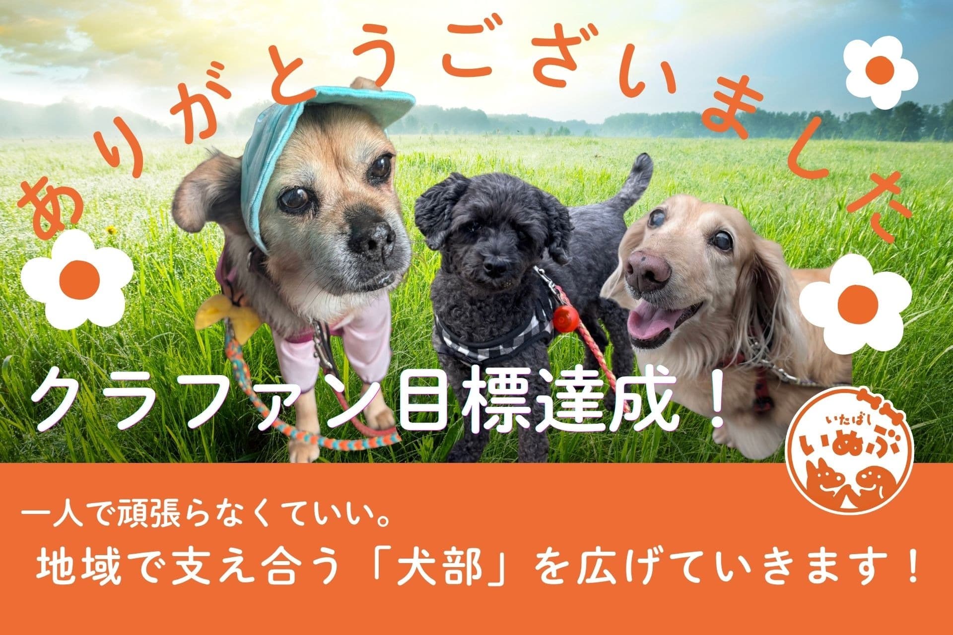 【御礼】クラウドファンディングへのご支援、本当にありがとうございました!|いたばし犬部のメインビジュアル