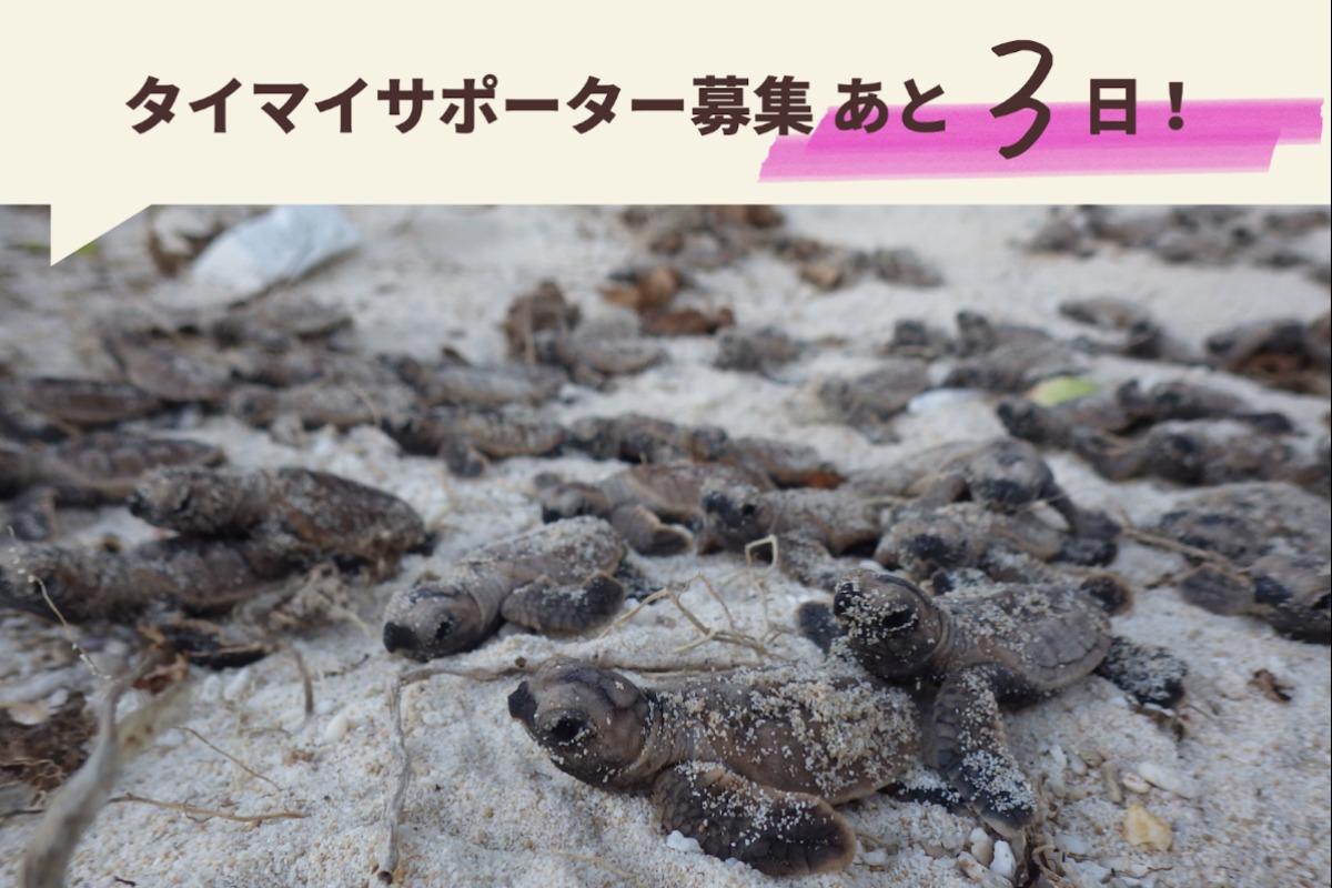 【あと3日！】皆様の応援が力になりますのメインビジュアル