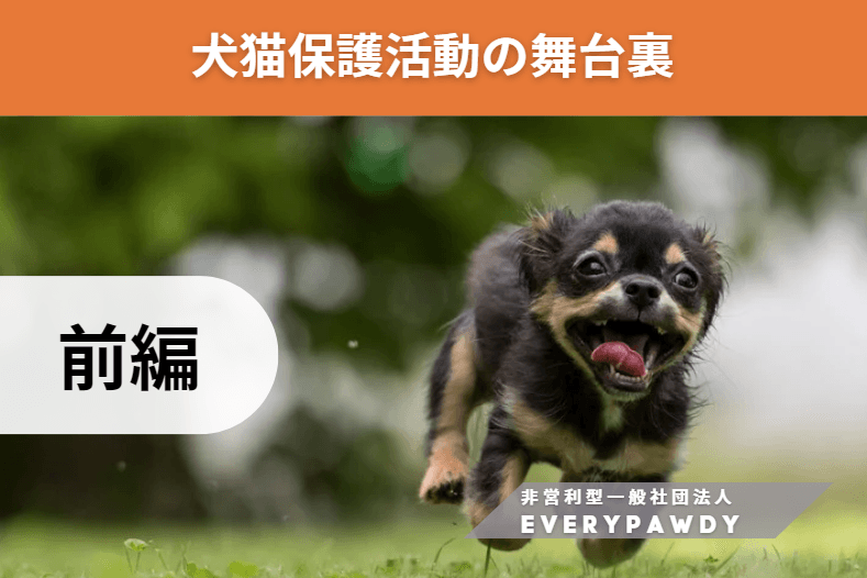 犬猫保護活動の舞台裏（前編）のメインビジュアル