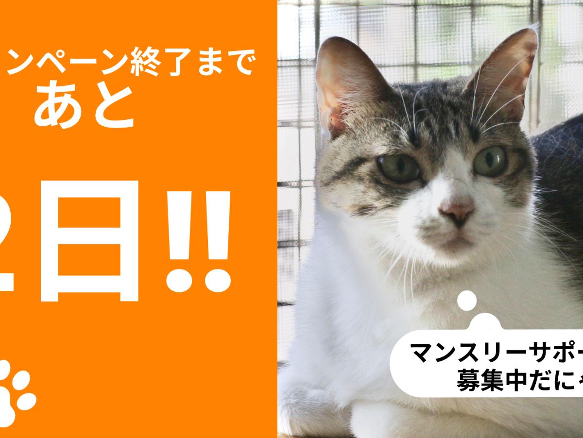 誕生日の私の思いのメインビジュアル