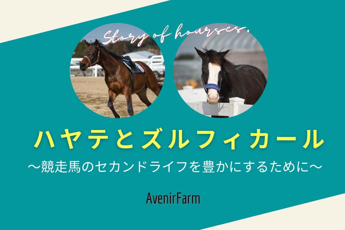 馬とのストーリーコンテンツ③ ハヤテとズルフィカール 〜競走馬のセカンドライフを豊かにするために〜のメインビジュアル