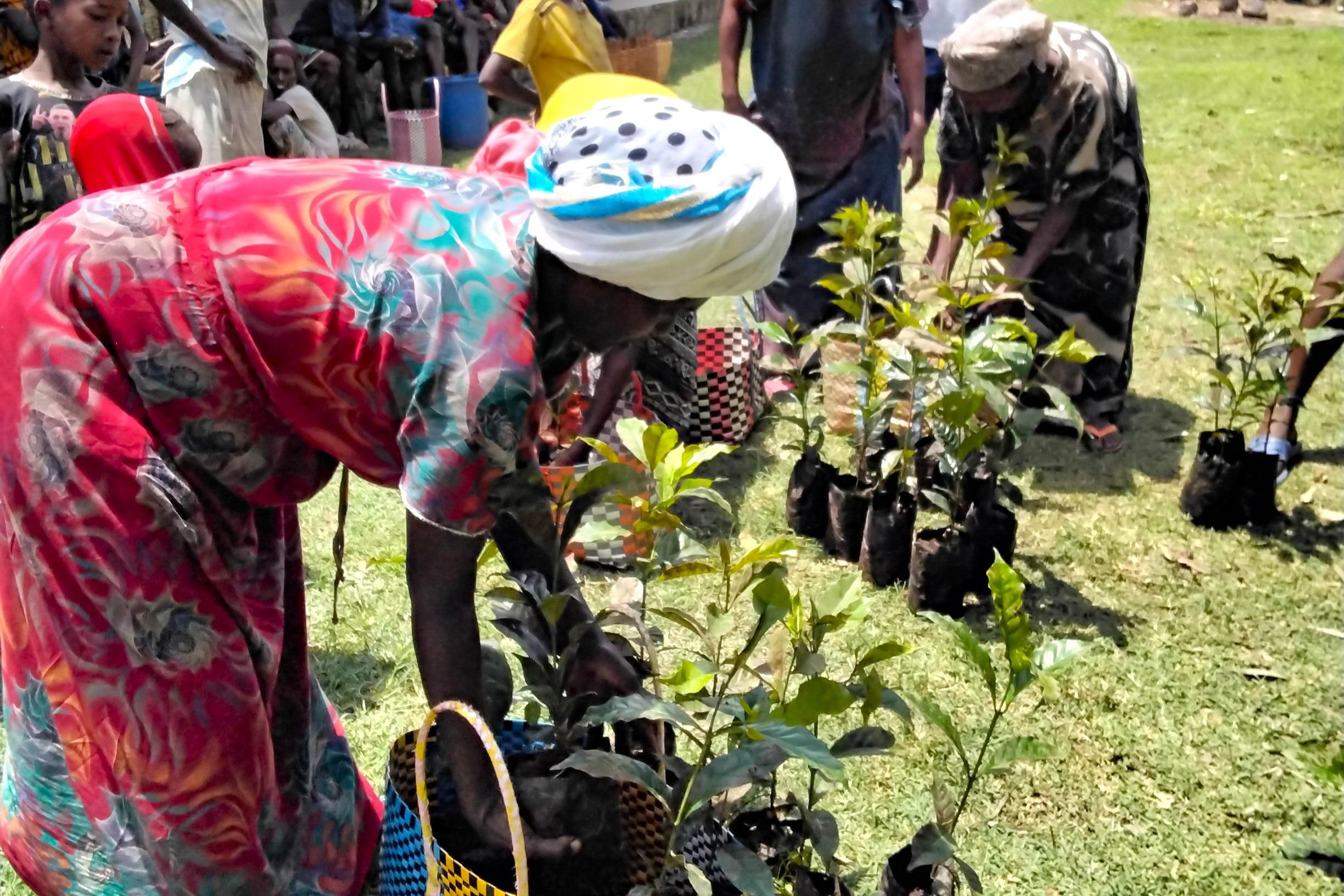 From Ethiopia – A New Chapter in Environmental Learning Begins!のメインビジュアル