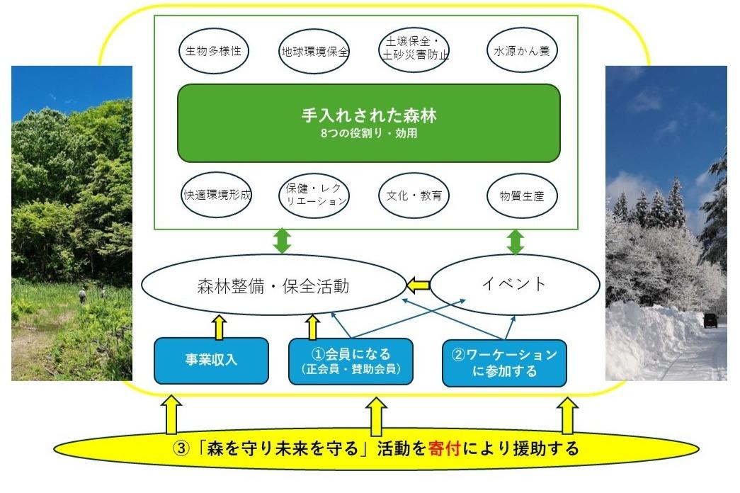 「森を守り、未来を守る！」活動の基盤についてのメインビジュアル