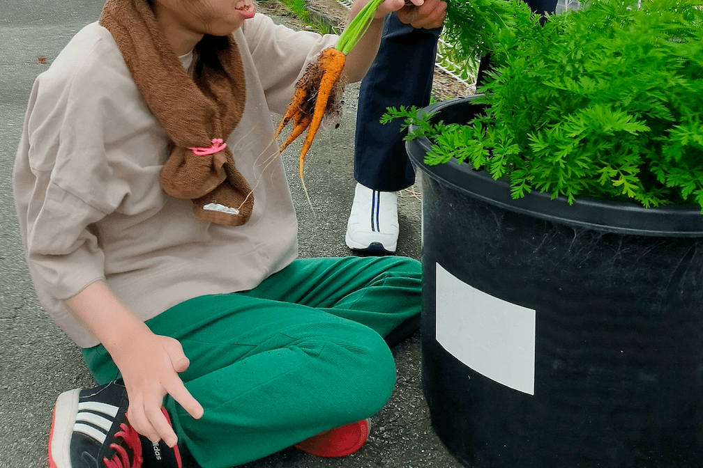 野菜の収穫！のメインビジュアル