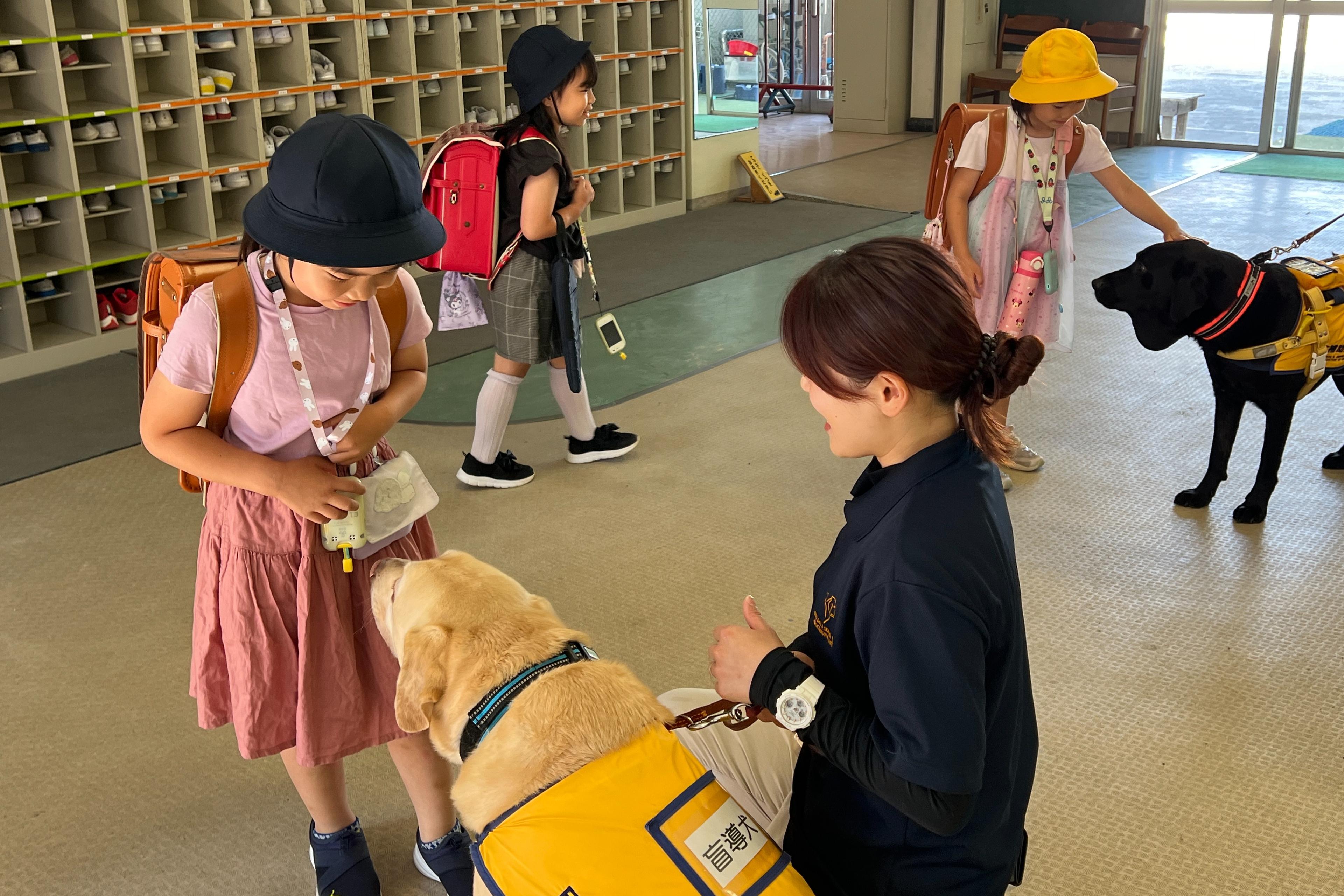 品川区の源氏前小学校で教育ファシリティードッグ活動を行いました。のメインビジュアル