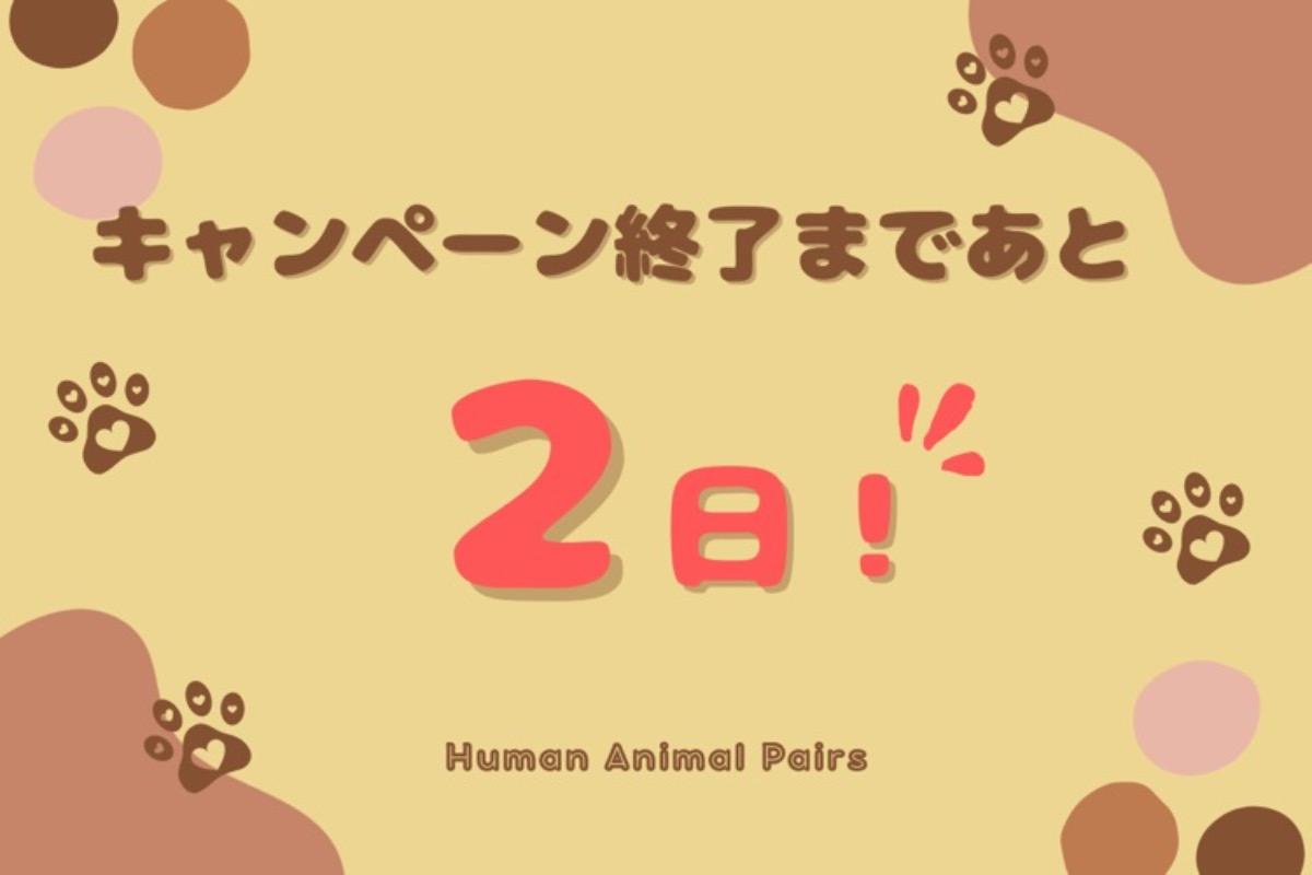 キャンペーン終了まで残り2日になりました！のメインビジュアル